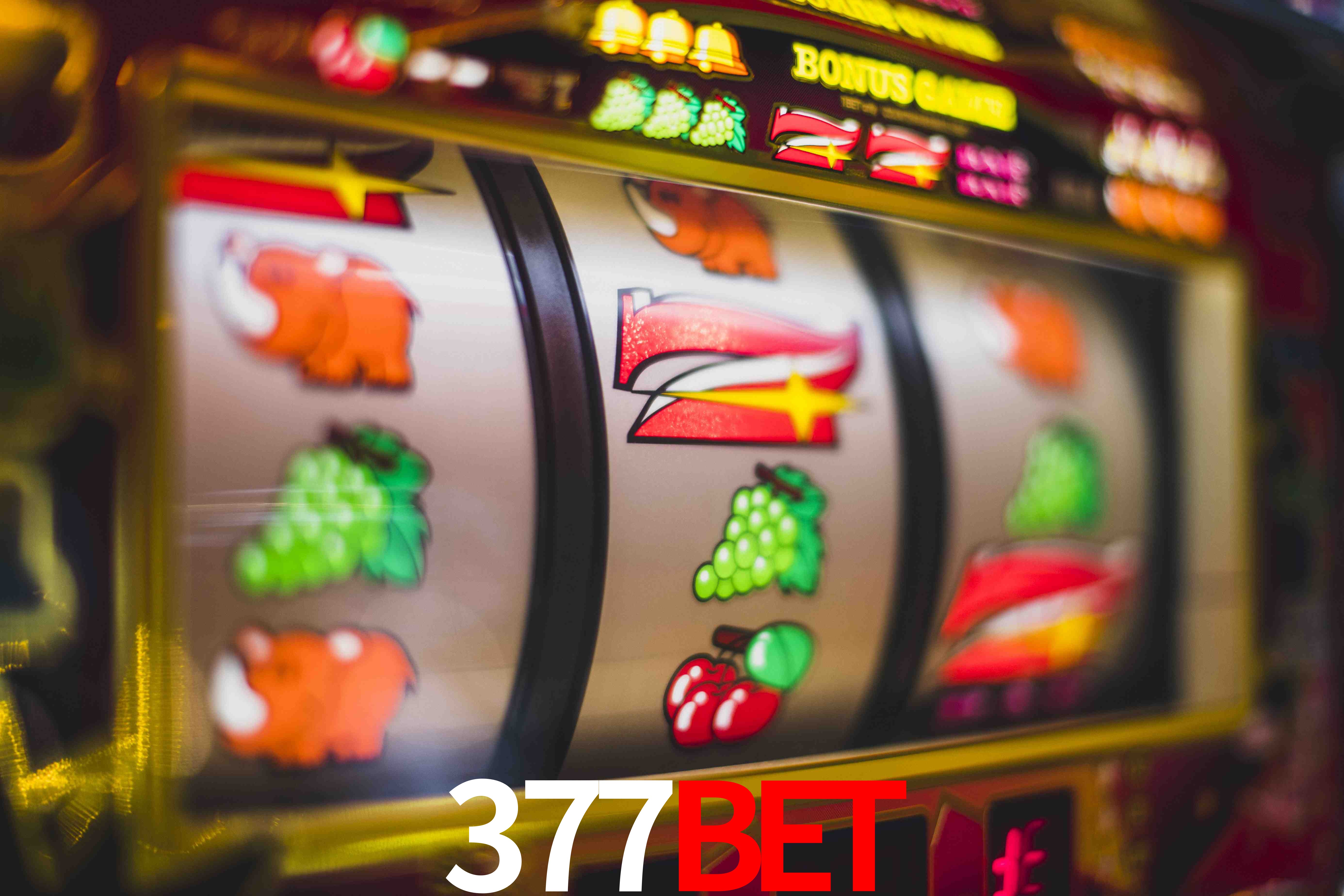 Tennis Betting 377Bet